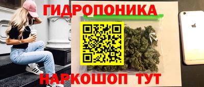 спиды Краснодар